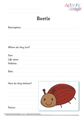 Beetle Worksheet