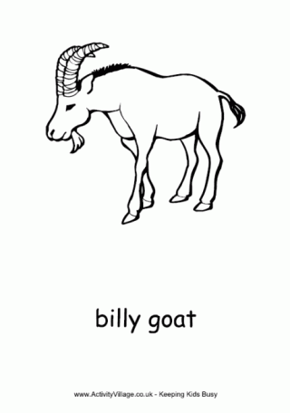 Billy Goat Colouring Page