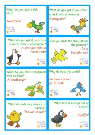 Bird Jokes Lunch Box Notes