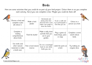Bird Project Suggested Activities Colour In Sheet