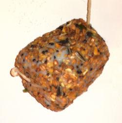 Bird Cake