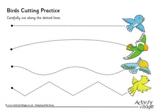 Birds Cutting Practice