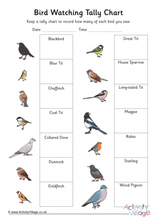 Birdwatching Tally Chart Grid