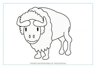 Bison Colouring Page 2