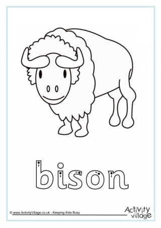 Bison Finger Tracing