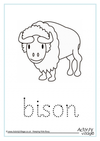 Bison Word Tracing