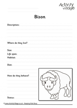 Bison Worksheet