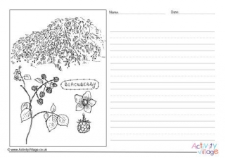 Blackberry Story Paper