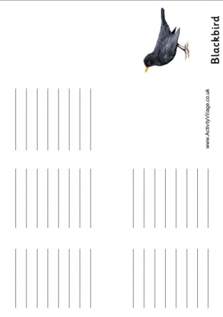 Blackbird Booklet