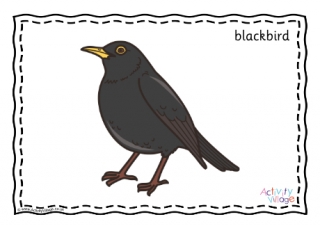 Blackbird Poster 2