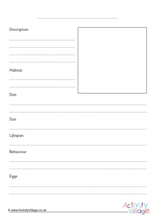 Blank Bird Fact Finding Worksheet