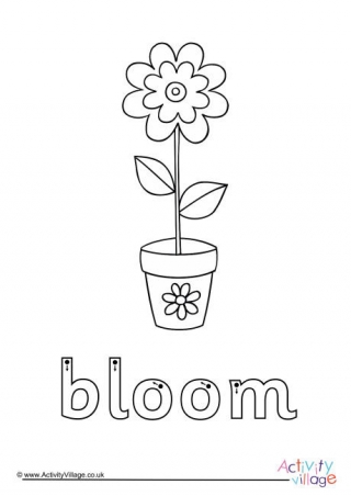 Bloom Finger Tracing