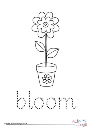 Bloom Word Tracing