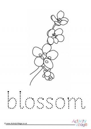 Blossom Word Tracing