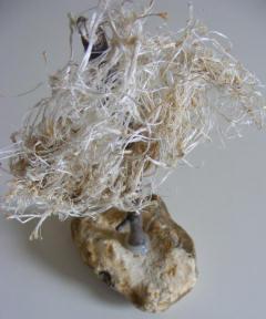 Beach Sculptures