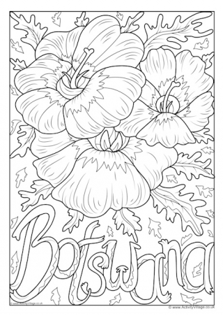 Botswana National Flower Colouring Page