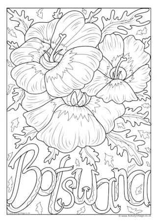 Botswana National Flower Colouring Page