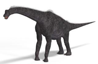 Brachiosaurus Printables for Kids