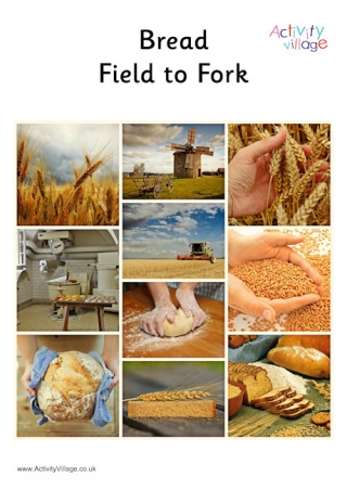 Bread Field To Fork Poster 2
