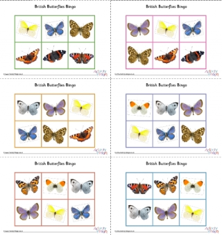 British Butterflies Bingo