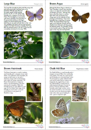 British Butterflies Guide - Part 2
