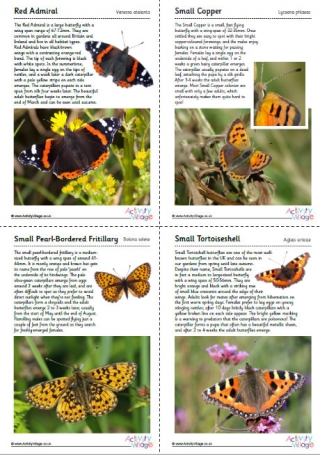 British Butterflies Guide - Part 5