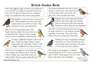 British garden birds comprehension