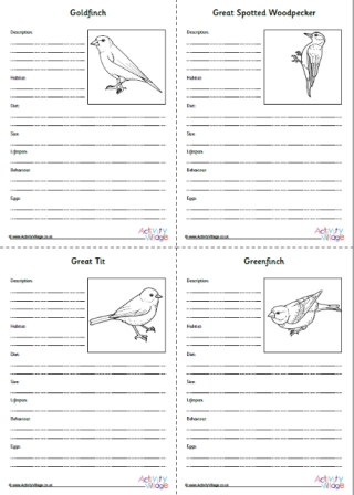 British Garden Birds Fact Finding Worksheets
