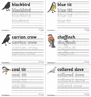 British Garden Birds Handwriting Worksheets