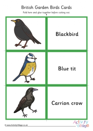 British Garden Birds Matching Cards