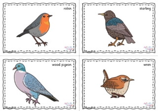 British Garden Birds Posters