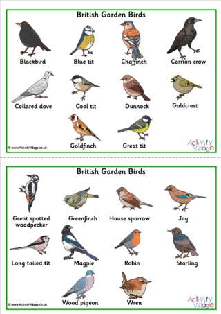 British Garden Birds Word Mats