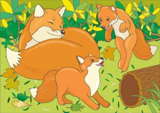 British Wildlife Cards