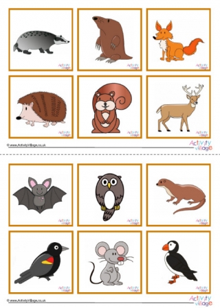 British Wildlife Game Cards