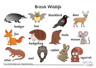 British Wildlife Word Mat
