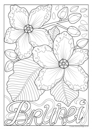 Brunei National Flower Colouring Page