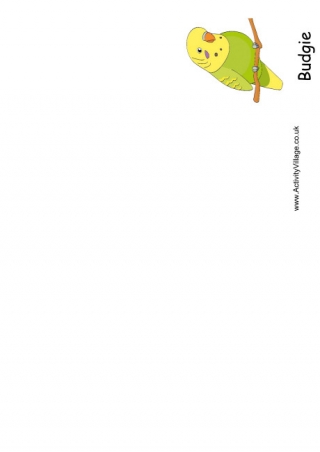 Budgie Booklet 2