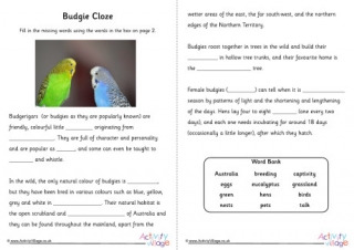 Budgie Cloze