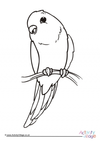 Budgie Colouring Page 1