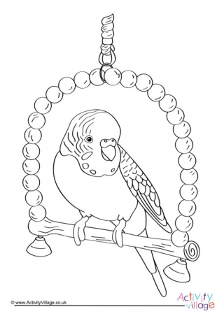 Budgie Colouring Page 3