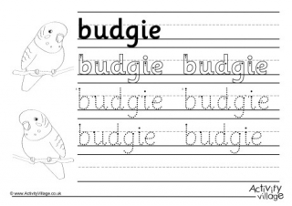 Budgie Handwriting Worksheet