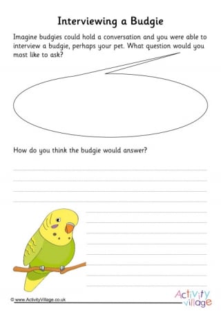 Budgie Interview Writing Prompt 