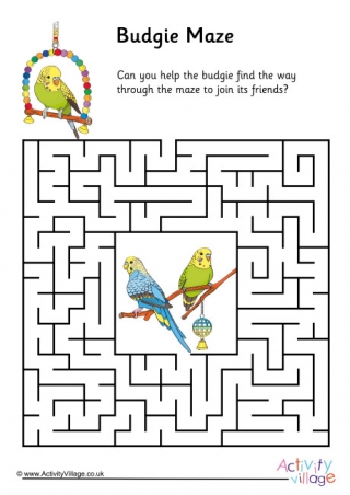 Budgie Maze 1