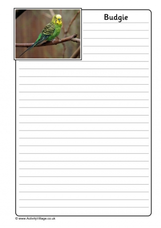 Budgie Notebooking Page