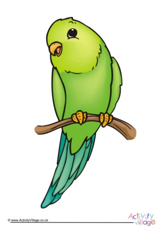 Budgie Poster 2
