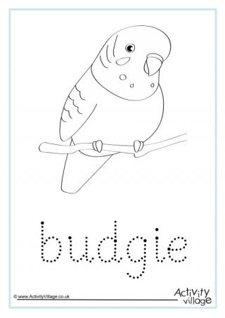 Budgie Word Tracing