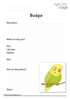 Budgie Worksheets