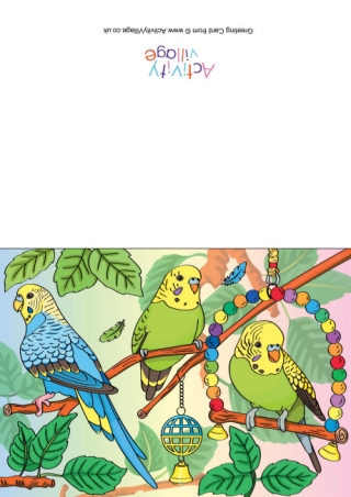 Budgies Scene Card