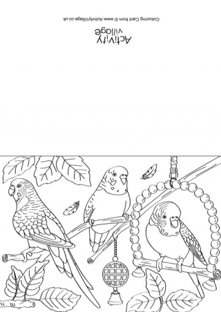 Budgies Scene Colouring Card
