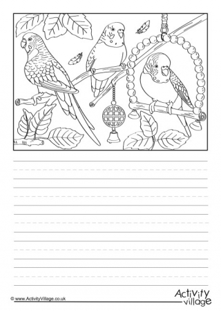 Budgies Scene Story Paper